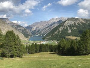 livigno, due arrestati per furti nei negozi