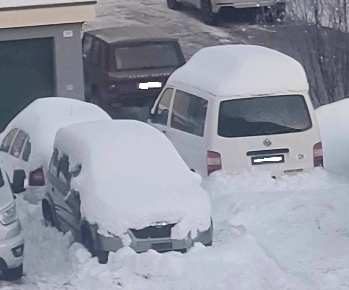 catene o gomme da neve