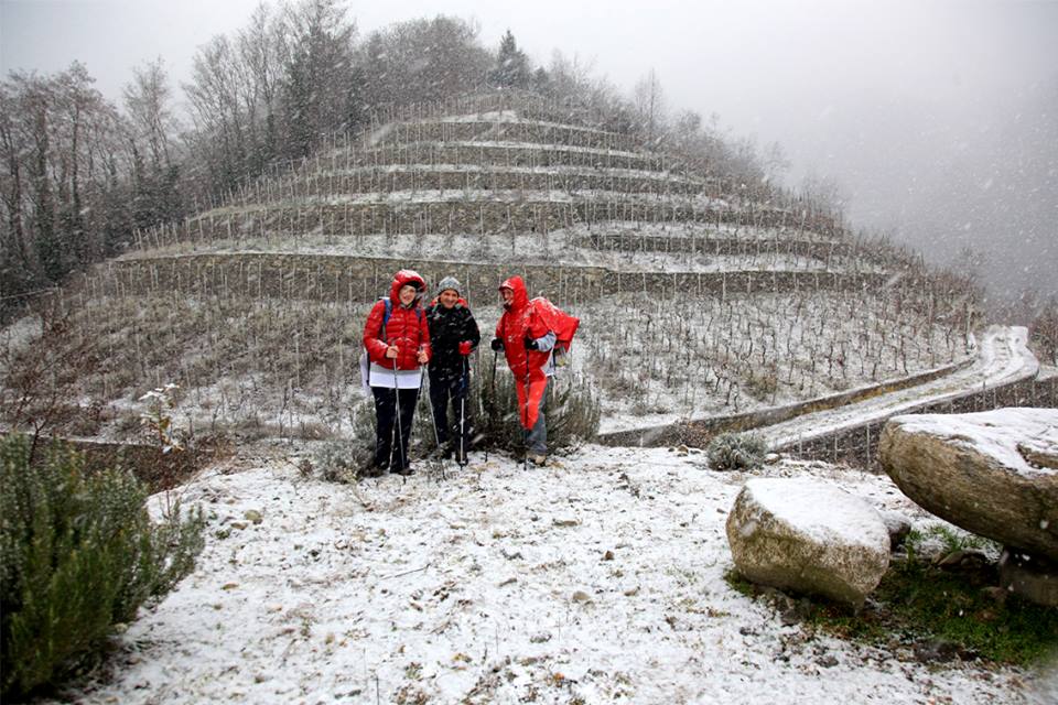 nevica valtellina