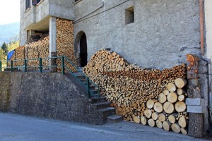 utilizzo legna combustibile