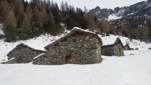 Alpe Entova Valmalenco