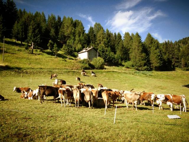 Riserva Pian di Gembro
