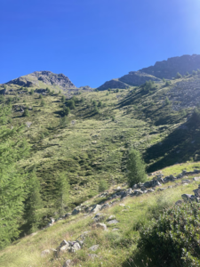 passo asino