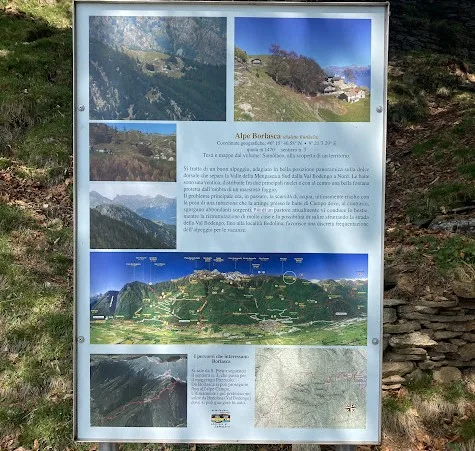 alpe borlasca