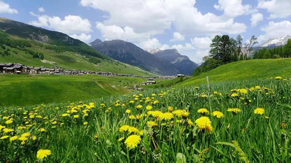 tasse a livigno, gli sgravi fiscali e le facilitazioni nel piccolo tibet