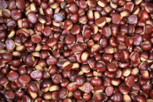 castagne il pane dei poveri