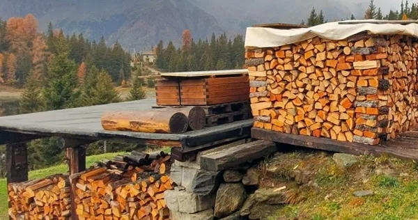 emissioni pm10 e co2 biomasse e combustibili a confronto