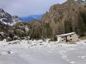 escursione all'alpe musella con le ciaspole