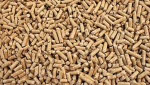 Quanti anni dura una stufa a pellet