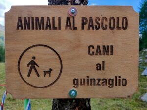 quando si deve mettere la museruola al cane