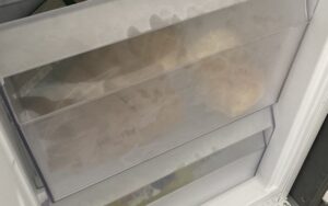 i falsi miti sui surgelati