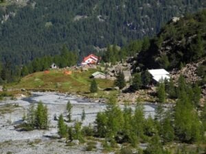 nevica sempre di meno lo dicono i ginepri in val ventina