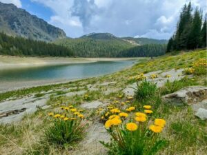 il lago palù, itinerario da quattro stagioni
