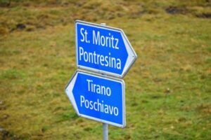 trasferimento bestiame sulla strada del passo bernina