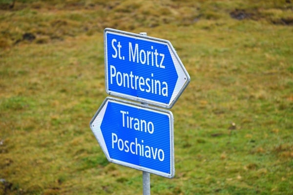 trasferimento bestiame sulla strada del passo bernina
