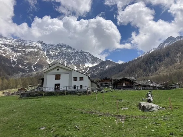 alpe avero
