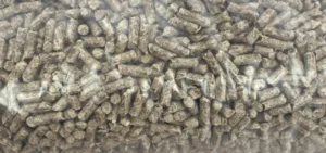 il nocciolino, l'alternativa economica al pellet