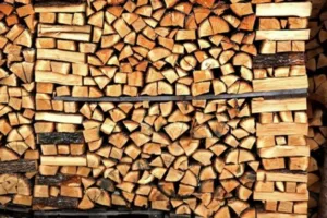 la legna non adatta ad essere bruciata nel camino