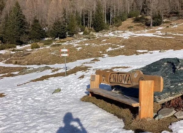 alpe entova