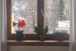 qual è il miglior isolante per il freddo dei muri