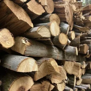 quale tipo di legno sporca la canna fumaria