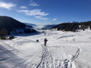 escursione al monte padrio