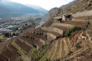 bruciare biomasse o residui vegetali all'aperto in lombardia