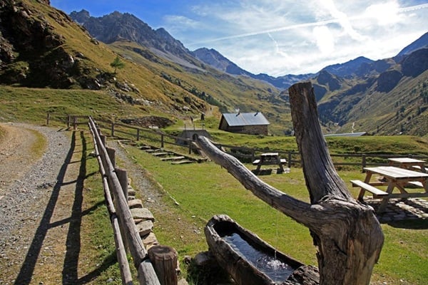 la natura intatta della val zebrù