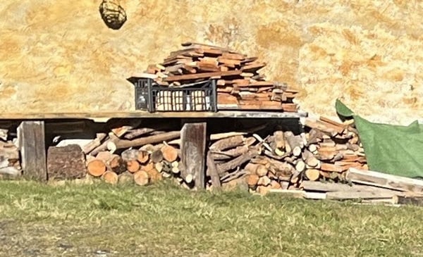 la polvere del legno