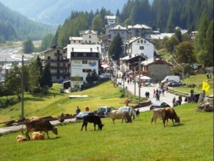 chiareggio, la perla della valmalenco