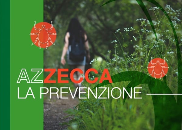 quando si rischia di trovare le zecche nelle escursioni in montagna