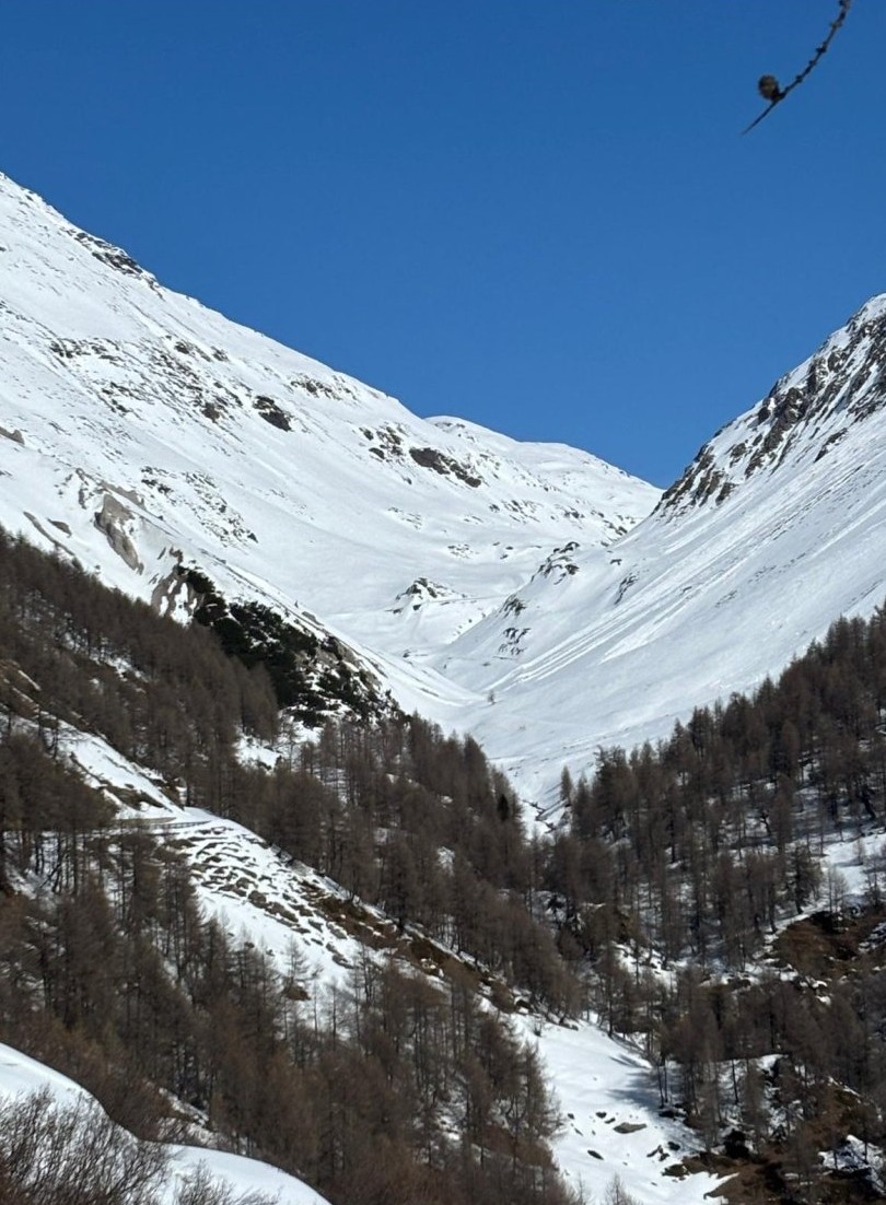 quando apre passo forcola