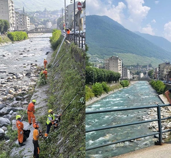 sondrio, pulite le sponde del mallero