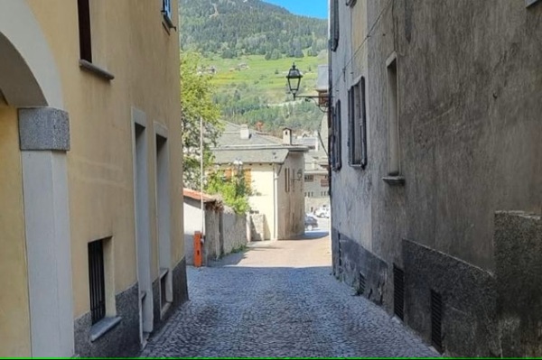 bormio multa cani