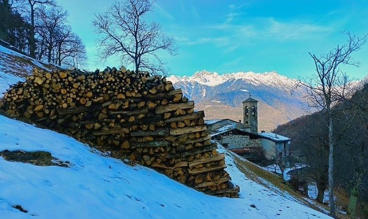 Legname da evitare