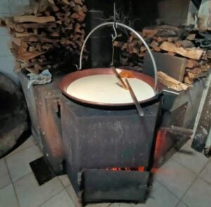 cosa rende speciali i formaggi della valtellina