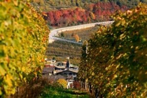 come aggirare il traffico in valtellina i percorsi alternativi