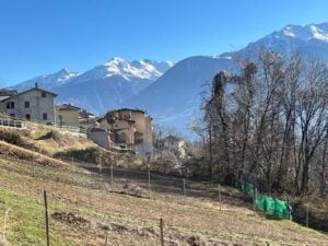 di chi è la rete sul sul confine