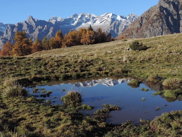 autunno in valtellina 5 ragioni per non perderti una camminata tra colori, profumi e vette