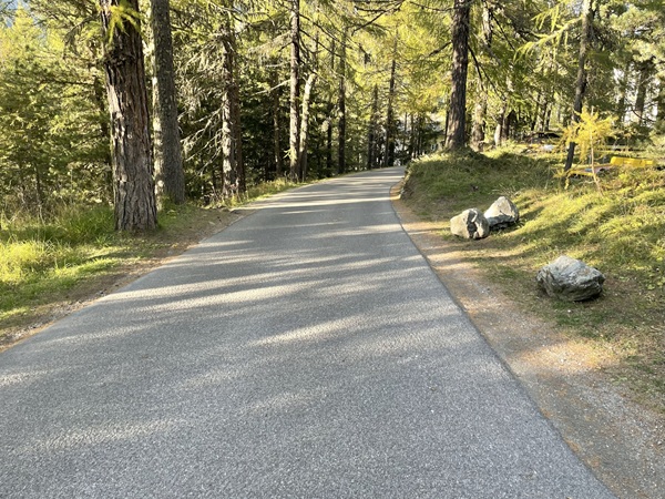 ciclista ferito dopo uno scontro con bus navetta sulla via da fex