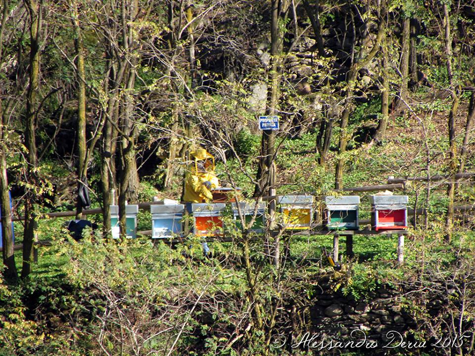Gli alimenti che non scadono mai