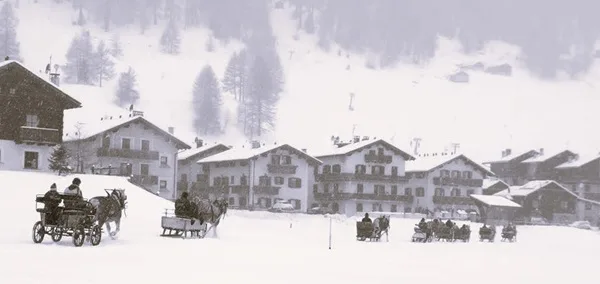 26 novembre 1952 livigno rompe l’isolamento invernale