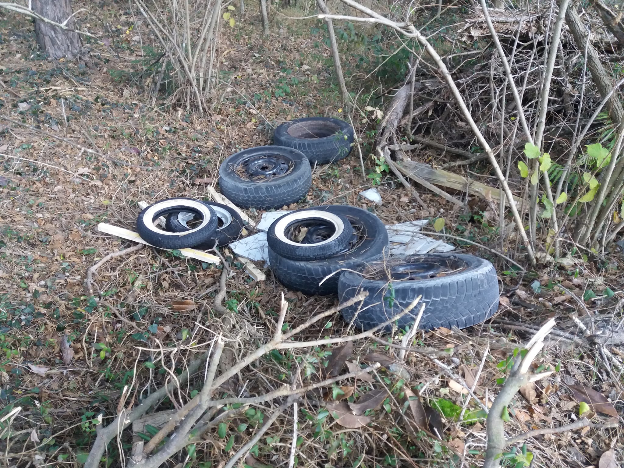 Rifiuti abbandonati nei boschi di samolaco