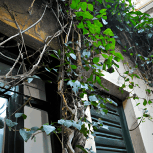 Piante combattono inquinamento domestico