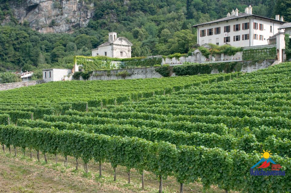 Valchiavenna Turismo|Valchiavenna Turismo