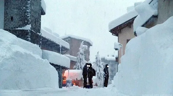 andatura del pinguino