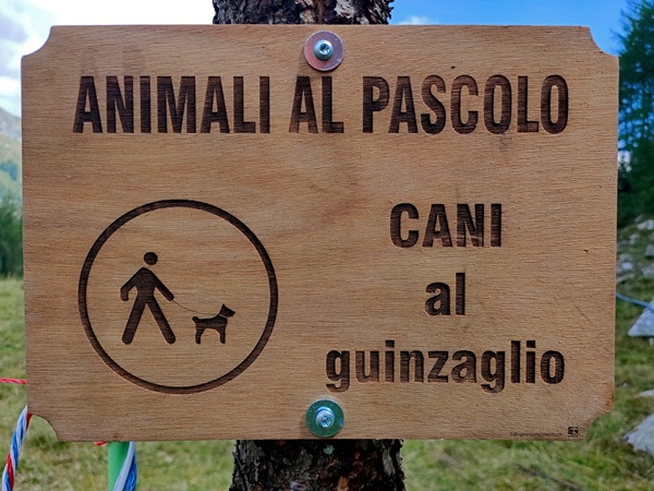 animali al pascolo l'importanza di tenere i cani al guinzaglio