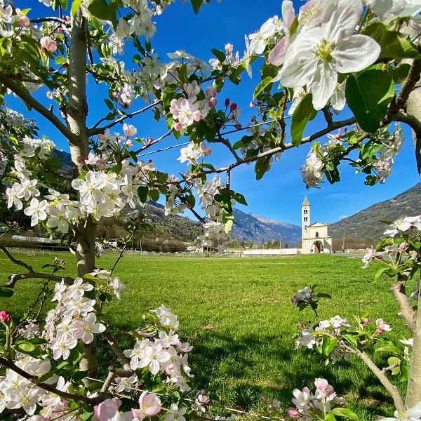 borghi silenziosi in valtellina alla scoperta dei suoi gioielli nascosti