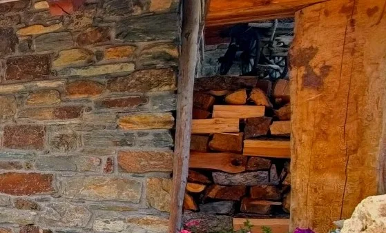 brucia meglio la legna dura o dolce