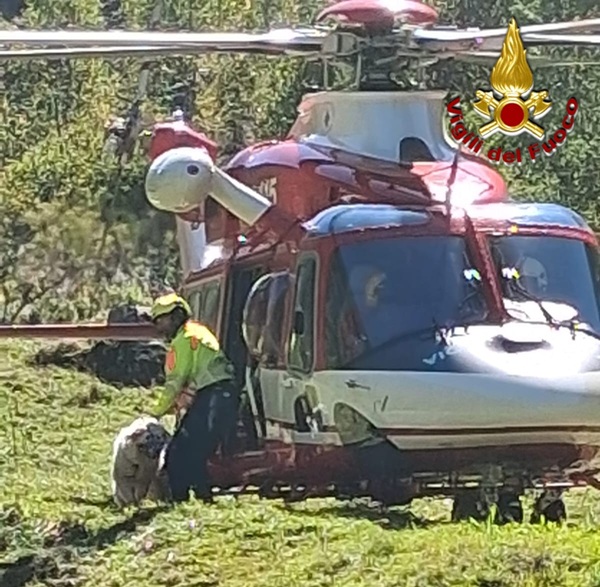 cane finisce in un dirupo a 200 metri di profondità salvata dai vigili del fuoco
